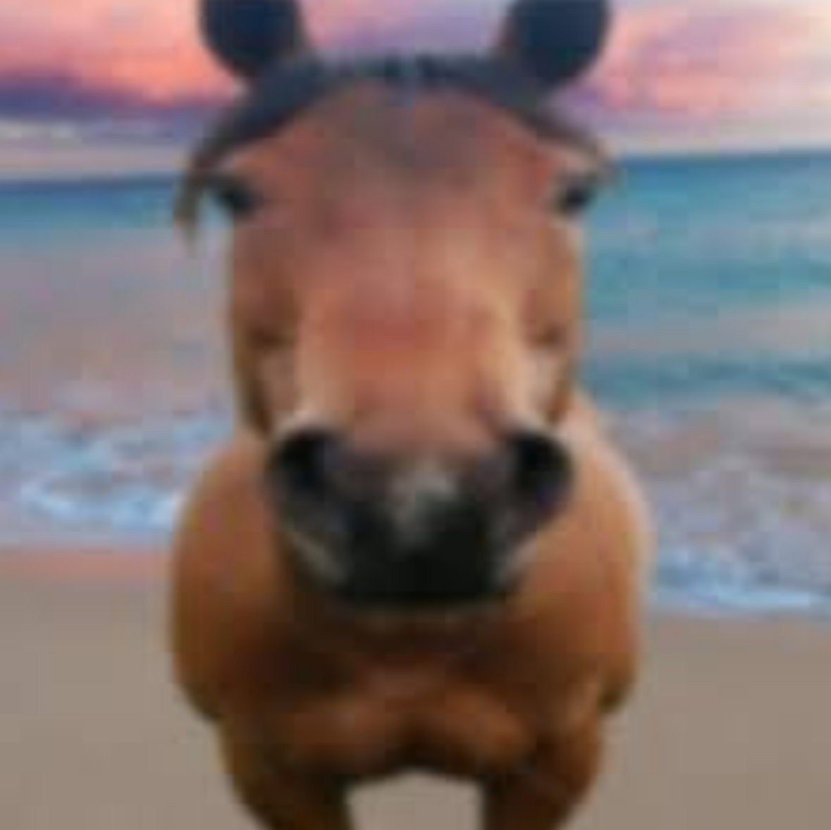 Horse